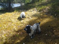 /album/ilpo/whoo13-289-jpg/